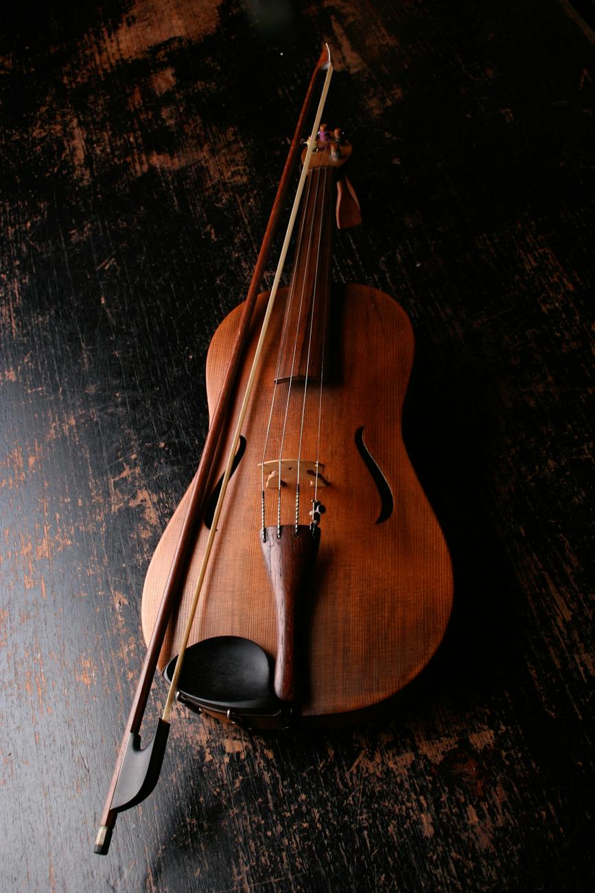 brown wooden violin and violin bow